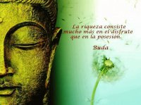 FRASES CELEBRES   MEDITACION