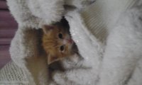mi pequeño Noa