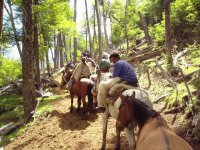 cabalgatas..
