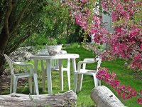 jardin