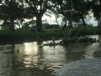 RIO SINU