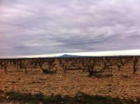 Lirac, Gard, France