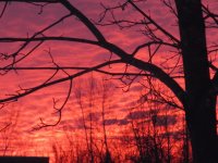 Colourful winter sunrise