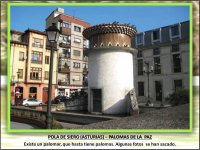 POLA DE SIERO (ASTURIAS) – PALOMAS DE LA PAZ