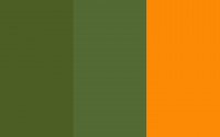 COLORS