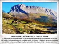 ITXINA (BIZKAIA) – IMPONENTE MAR DE CORAL DEL GORBEA