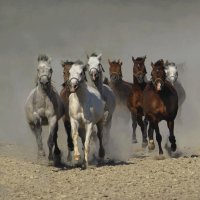 caballos 18