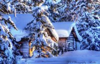 Winter Alaska