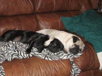 Brianna & Bella