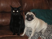 Boo & Bella
