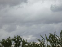 la proxima lluvia*