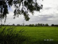 ures, sonora