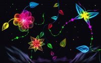 flores y colores