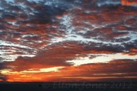 another glorious sunrise in Gulf Shores