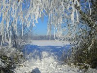 Winter 1