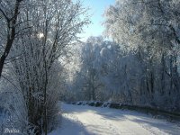 Winter 3