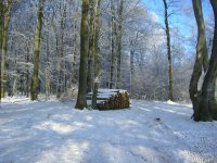 Winter 4