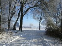 Winter 5