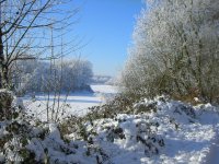 Winter 6