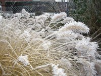 Winter 7