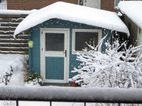 Winter 9