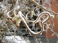 Winter 10