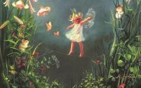 Walking the Cobweb