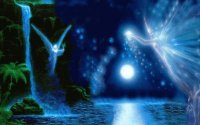 Waterfall Fairies