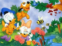 pluu