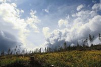 Bright Clouds