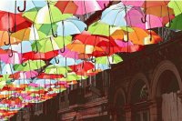 umbrella