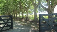 Estancia Las Alamedas - Chascomus - Buenos Aires