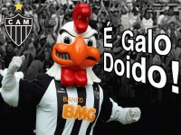 GALO DOIDO