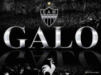 galo mascote do meu time