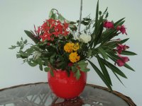 flores do campo