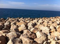 Jaffa Israel