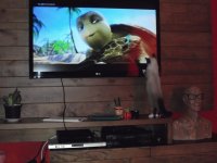 sol assistindo TV