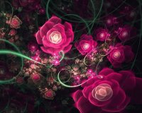Flores
