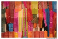 Saris tendidos