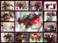 Cuadros Florales