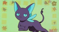 Supi