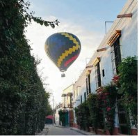 tequis