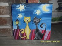 gatos