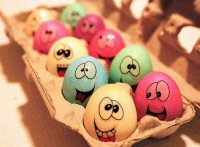 Crazy Eggs