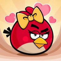 AGRI BRID 2