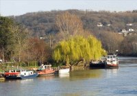 Bougival