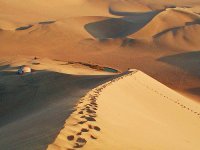 impronte nel deserto