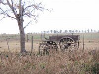 carreta abandonada