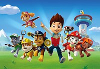 Paw patrol