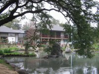 Jardin Japones